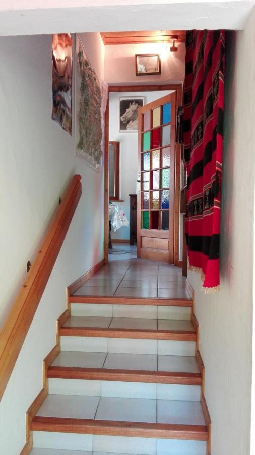 שאמוני Chalet Erminea מראה חיצוני תמונה