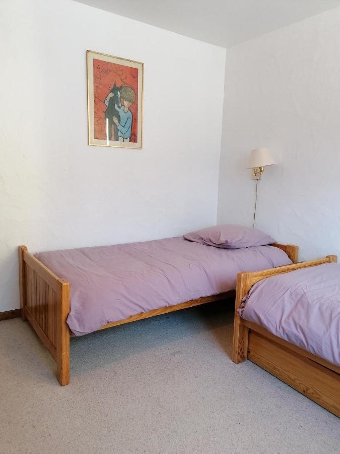 שאמוני Chalet Erminea מראה חיצוני תמונה
