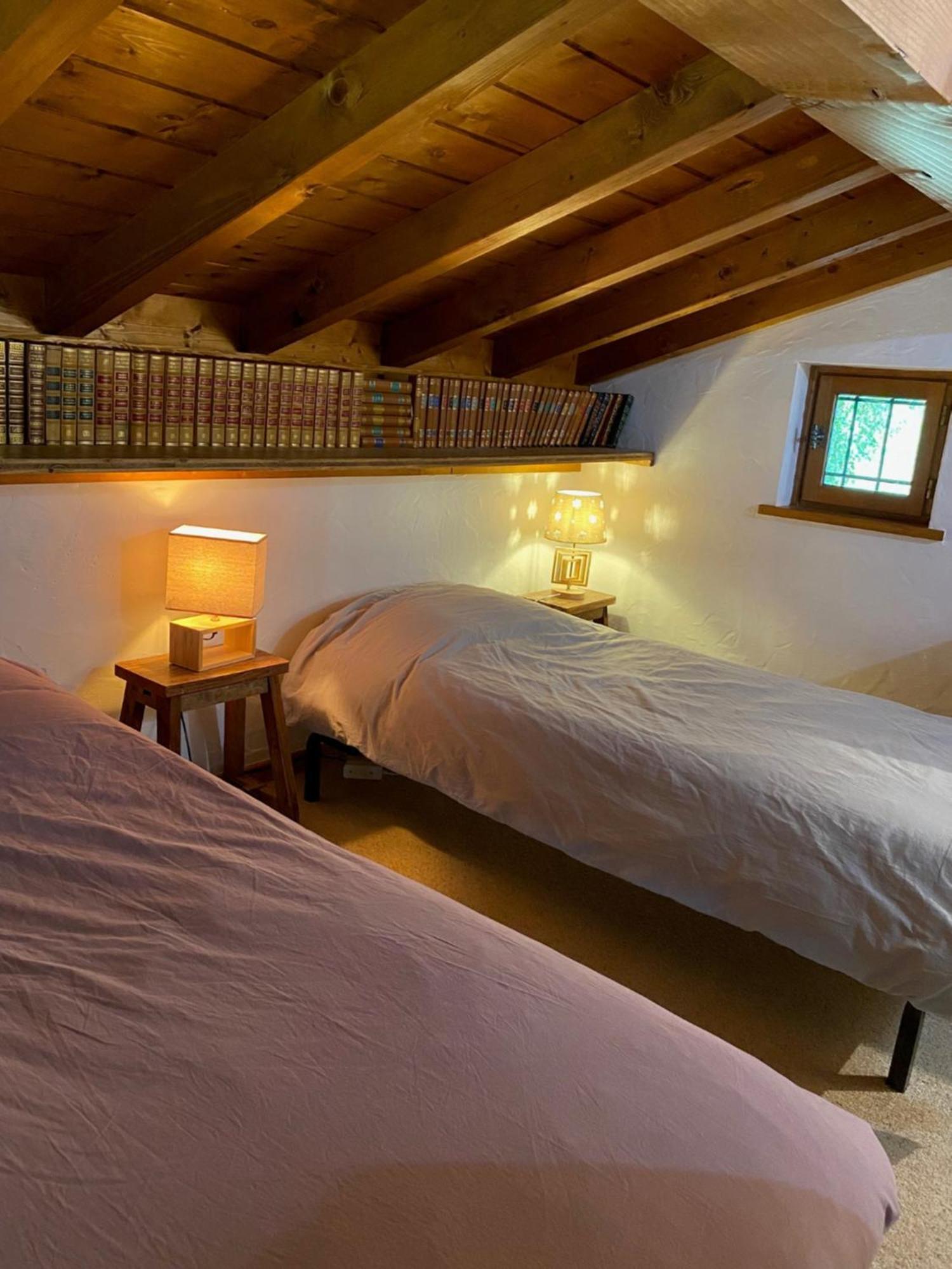 שאמוני Chalet Erminea מראה חיצוני תמונה